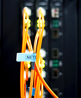 312x380 Network5